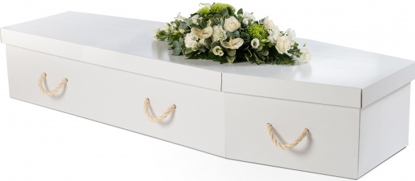 Cardboard Coffin in White